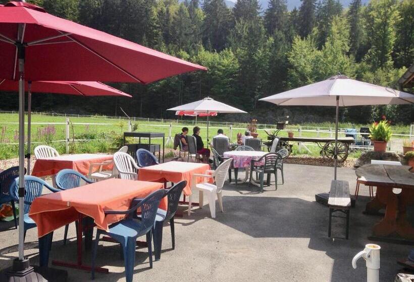 בית מלון כפרי Eichhof Brienzwiler Berner Oberland