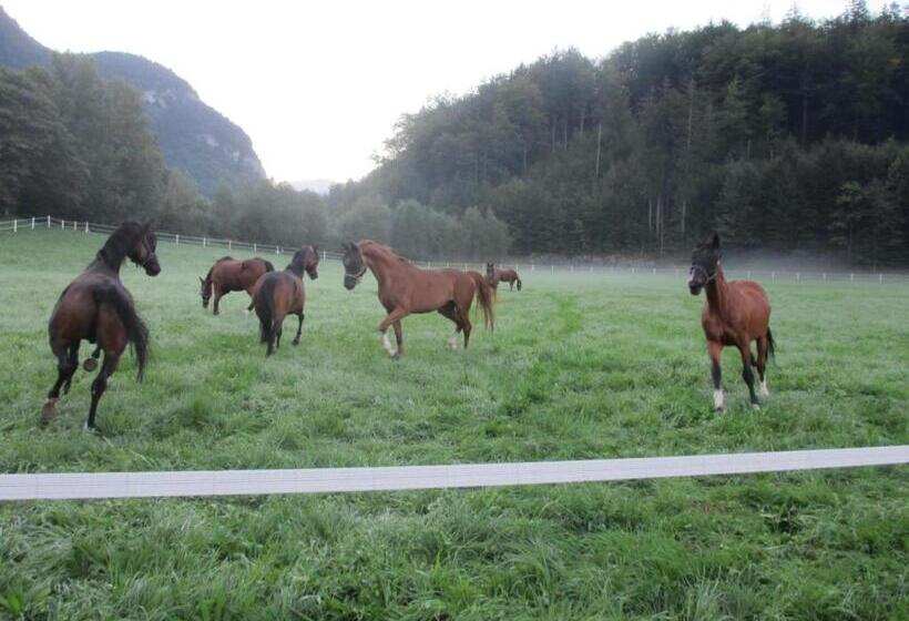 בית מלון כפרי Eichhof Brienzwiler Berner Oberland