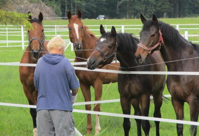 בית מלון כפרי Eichhof Brienzwiler Berner Oberland