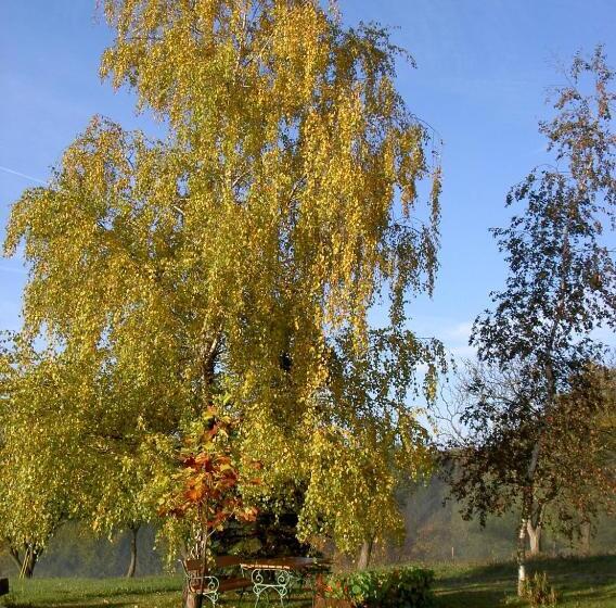 ホテル Gölsenhof   Fam. Büchinger