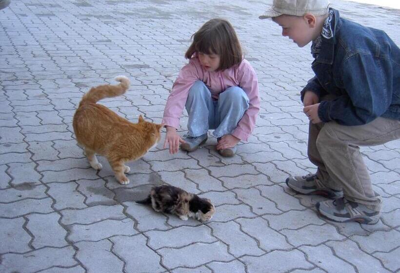 בית מלון כפרי Gölsenhof   Fam. Büchinger