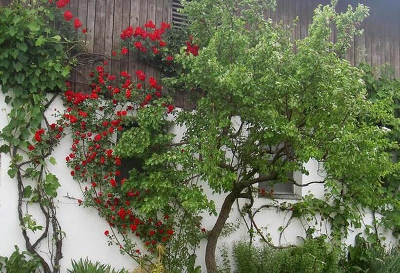 בית מלון כפרי Gölsenhof   Fam. Büchinger