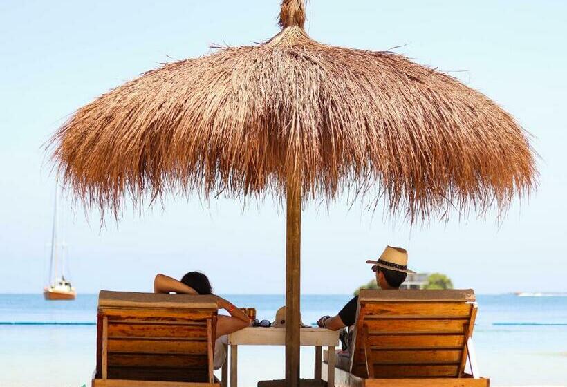 בית מלון כפרי Islabela Islas Del Rosario