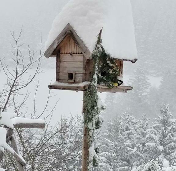 ホテル Kräuterhof Miesrigl