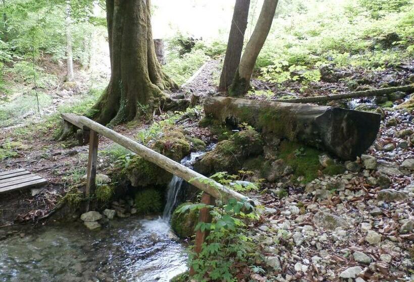 ホテル Kräuterhof Miesrigl