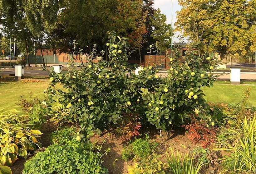 בית מלון כפרי L Milano