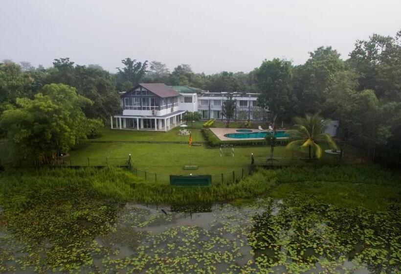 בית מלון כפרי Lavendish Wild Safari