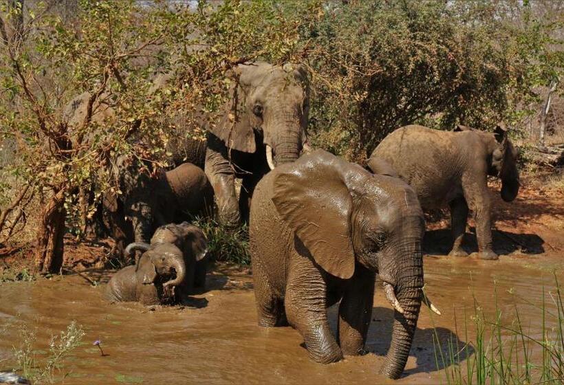 ホテル Lions Place