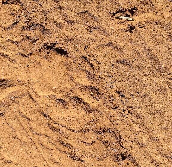 ホテル Lions Place