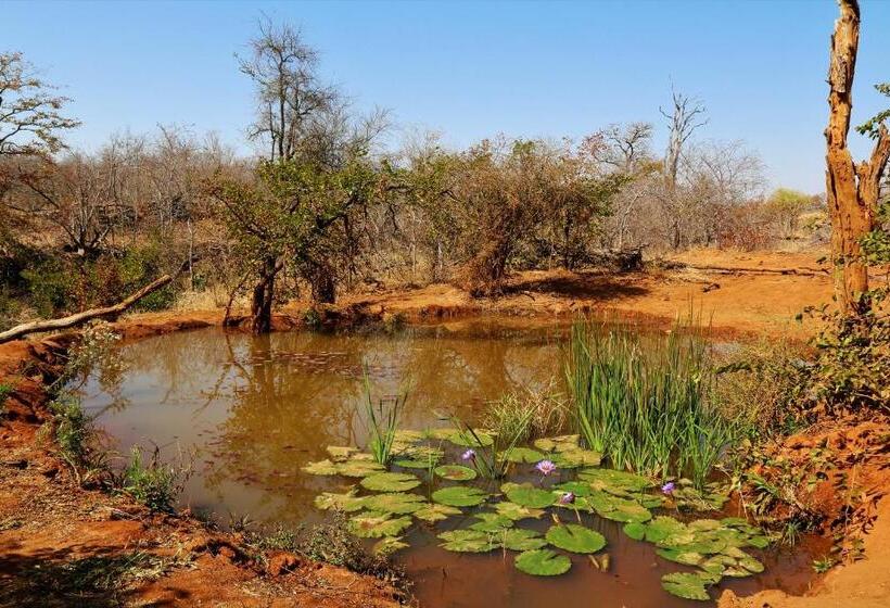 ホテル Lions Place