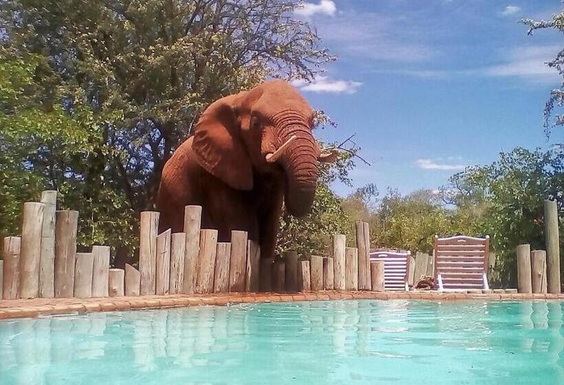 ホテル Lions Place