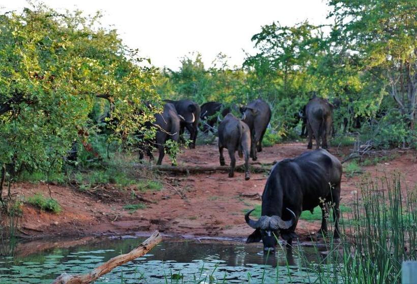 ホテル Lions Place