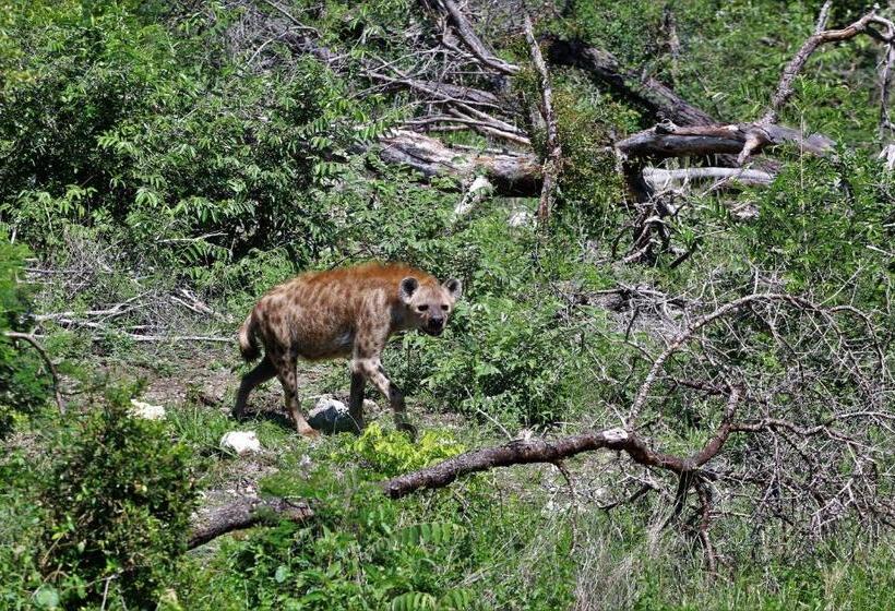 ホテル Lions Place