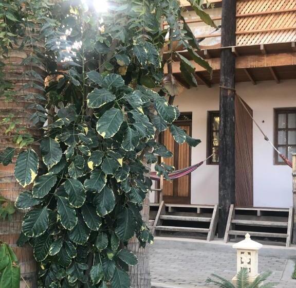 호텔 Los Cocos De Vichayito