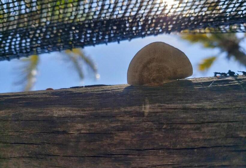 酒店 Mar Del Viento