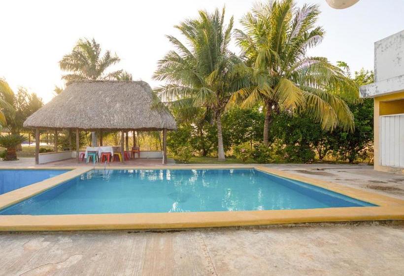 호텔 Oyo  San Sebastian Tenabo