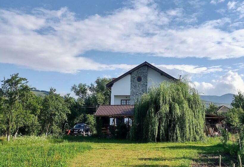 ホテル Pensiunea Codruta