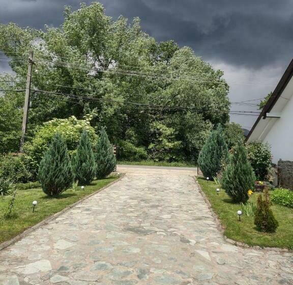 ホテル Pensiunea Codruta