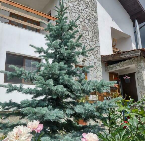 ホテル Pensiunea Codruta