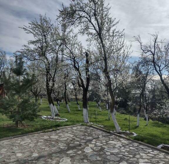 ホテル Pensiunea Codruta