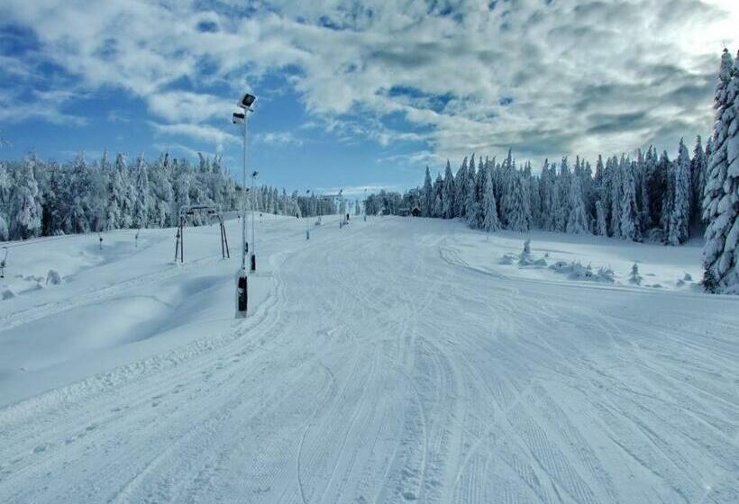 בית מלון כפרי Superski