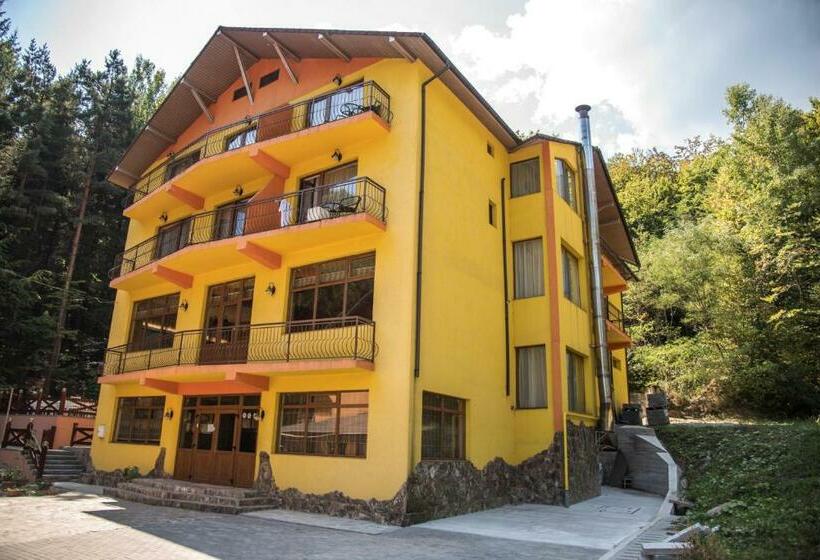 Отель Trei Brazi