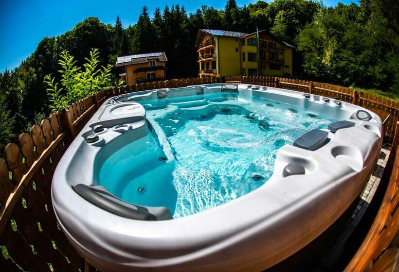 Отель Trei Brazi