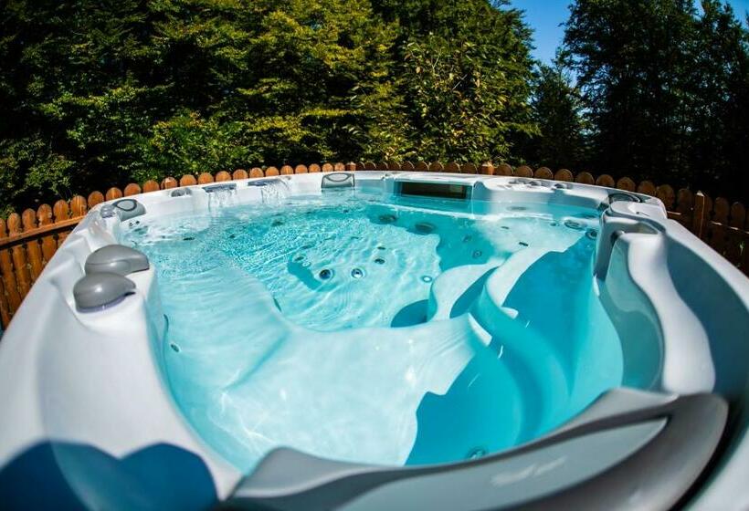 Отель Trei Brazi