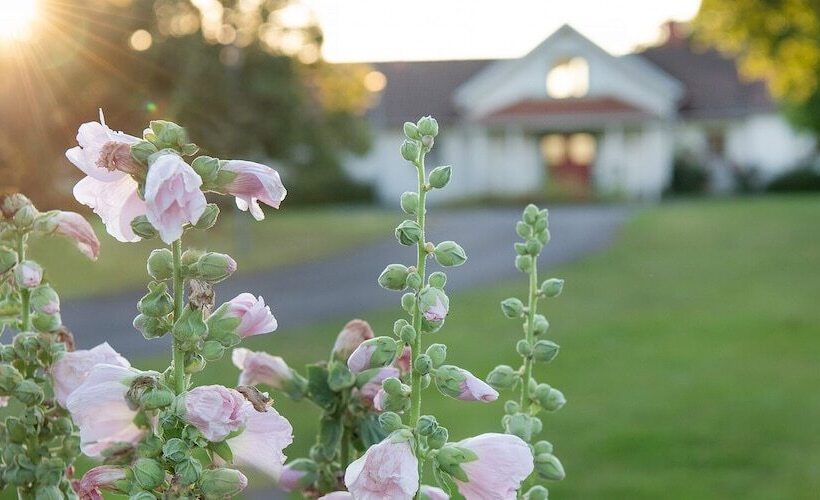 فندق Två Skyttlar