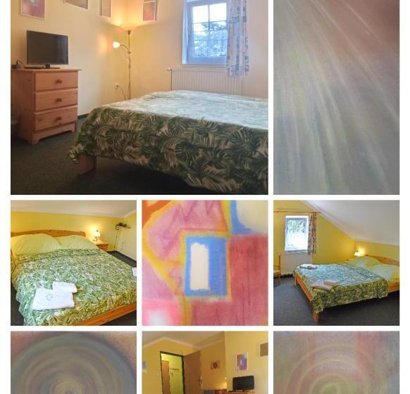 בית מלון כפרי U Zeleného Stromu   Zum Grünen Baum