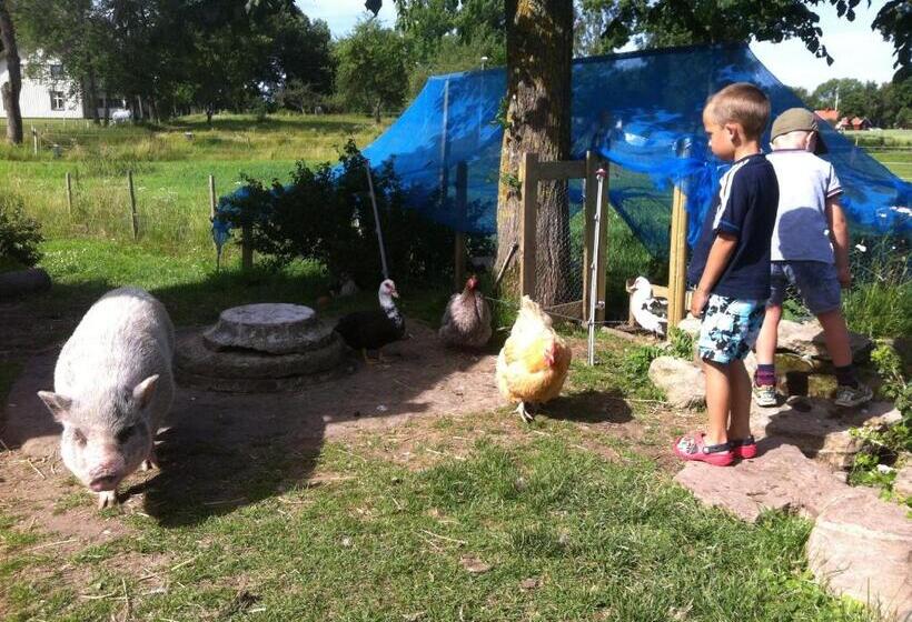 Отель äventyrsgårdens Vandrarhem, Kinnekulle