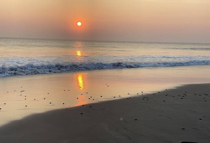 فندق Villa Murano