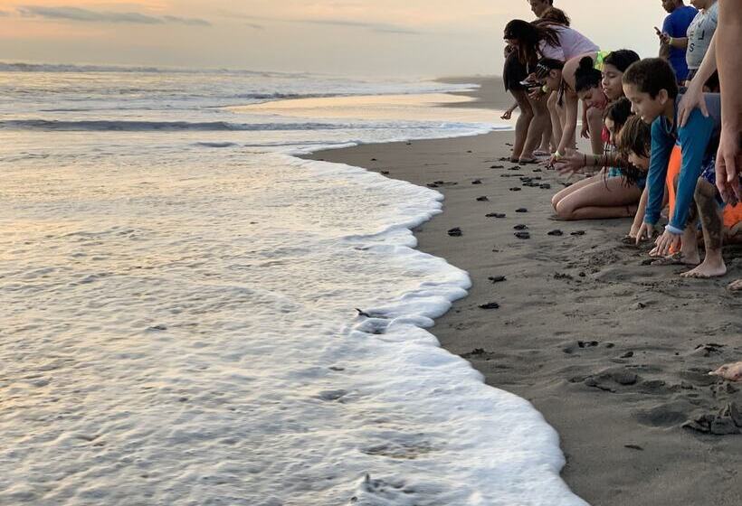 فندق Villa Murano