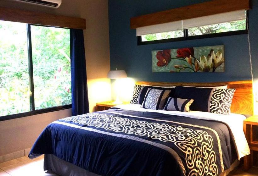 ホテル Xalli Beach