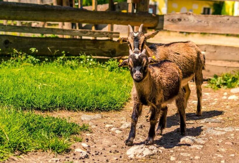 Kinderhotel Appelhof