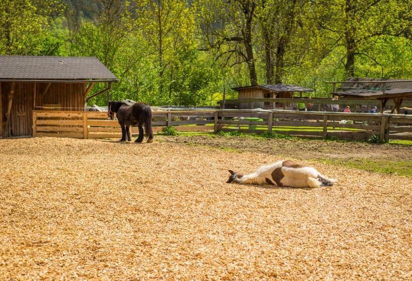 Kinderhotel Appelhof