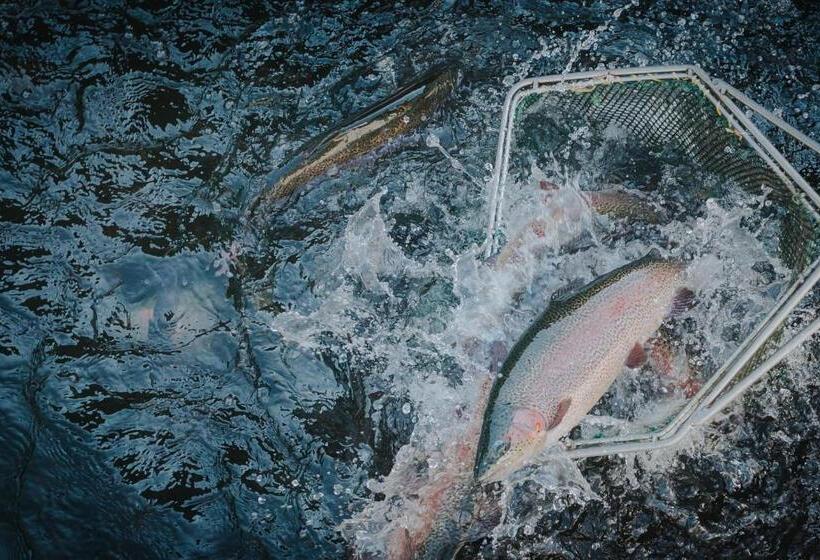 Lostrita Pastravarie, Hotel & Spa