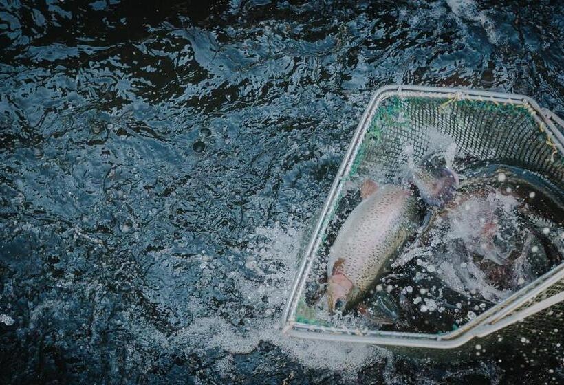 Lostrita Pastravarie, Hotel & Spa