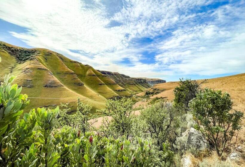 Molweni   Kamberg Valley B&b