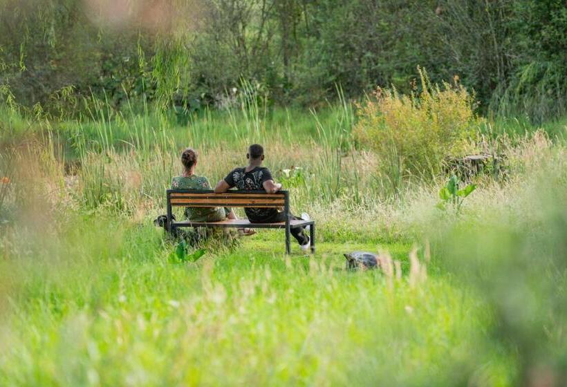 Molweni   Kamberg Valley B&b