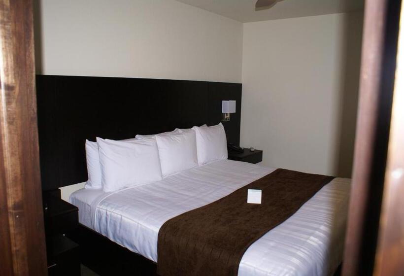 فندق على الطريق Boarders Inn & Suites By Cobblestone Hotels   Syracuse