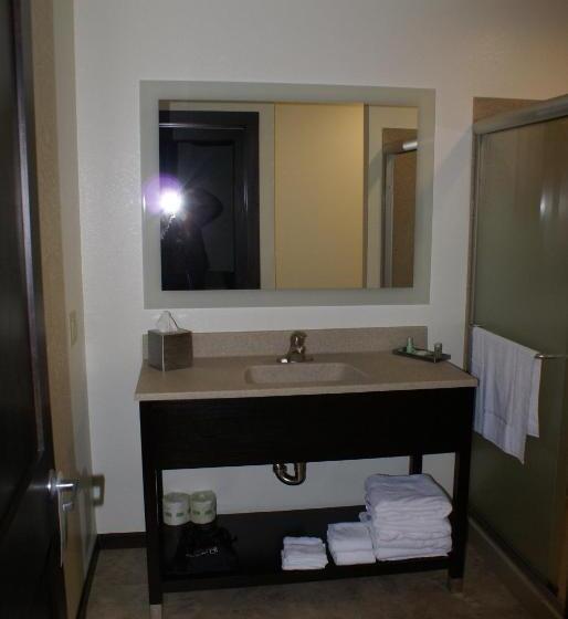 فندق على الطريق Boarders Inn & Suites By Cobblestone Hotels   Syracuse