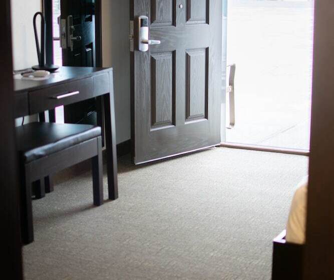 فندق على الطريق Boarders Inn & Suites By Cobblestone Hotels   Syracuse