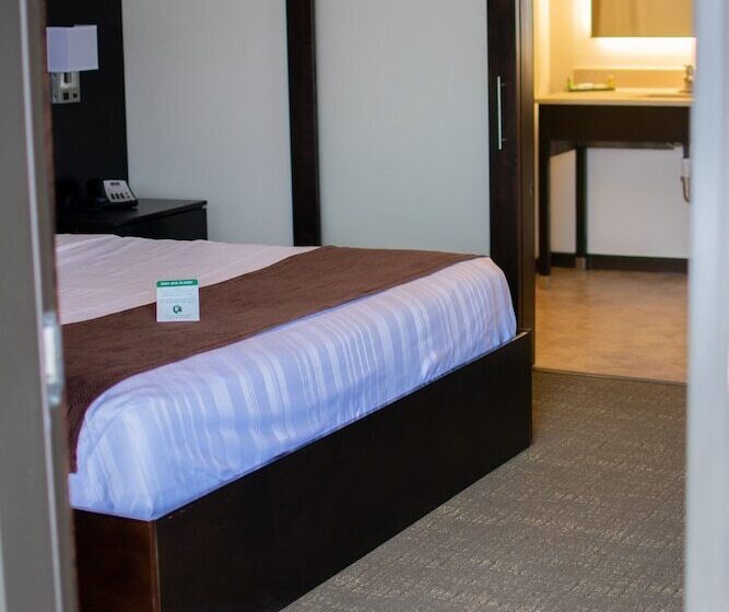 فندق على الطريق Boarders Inn & Suites By Cobblestone Hotels   Syracuse