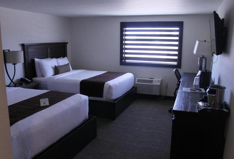 فندق على الطريق Boarders Inn & Suites By Cobblestone Hotels   Syracuse