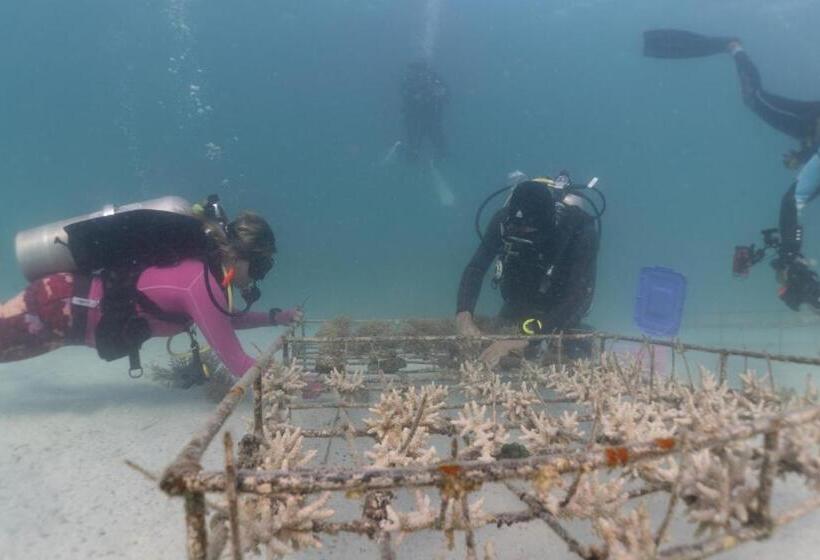 Murex Bangka Dive Resort