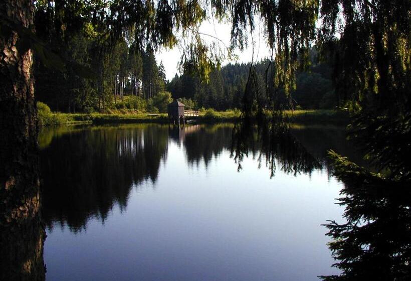 بنسيون Angerhof