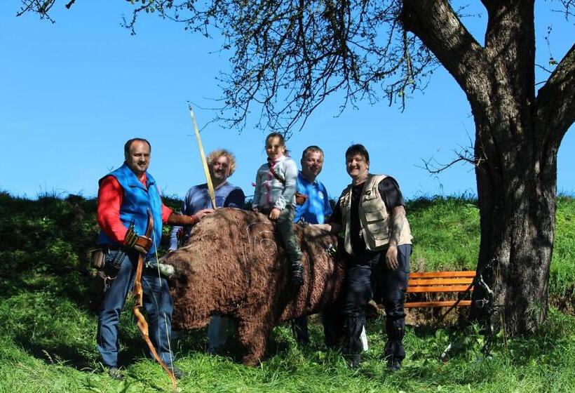 بنسيون Angerhof