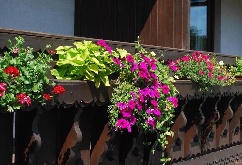 פנסיון Angerhof