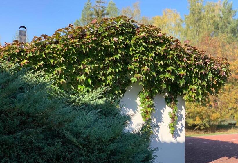 פנסיון Apartmány Na Horce